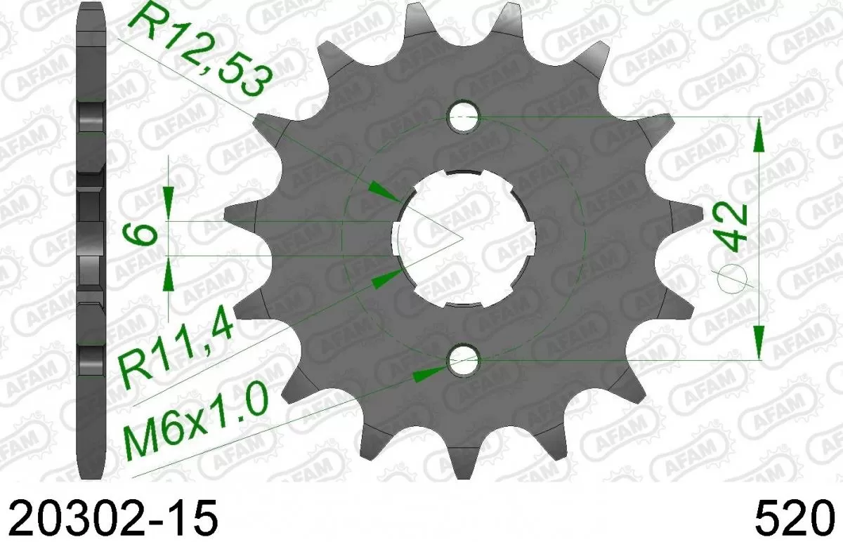 AFAM Sprocket Front 15T - 520