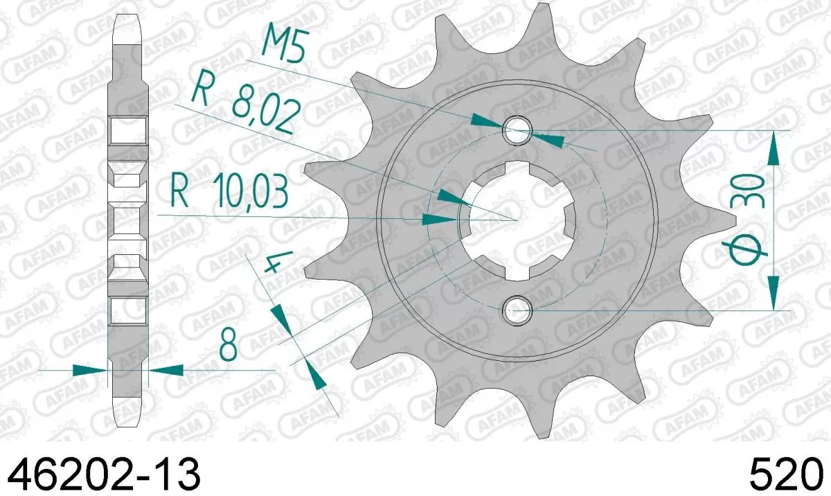 AFAM Sprocket Front 13T - 520