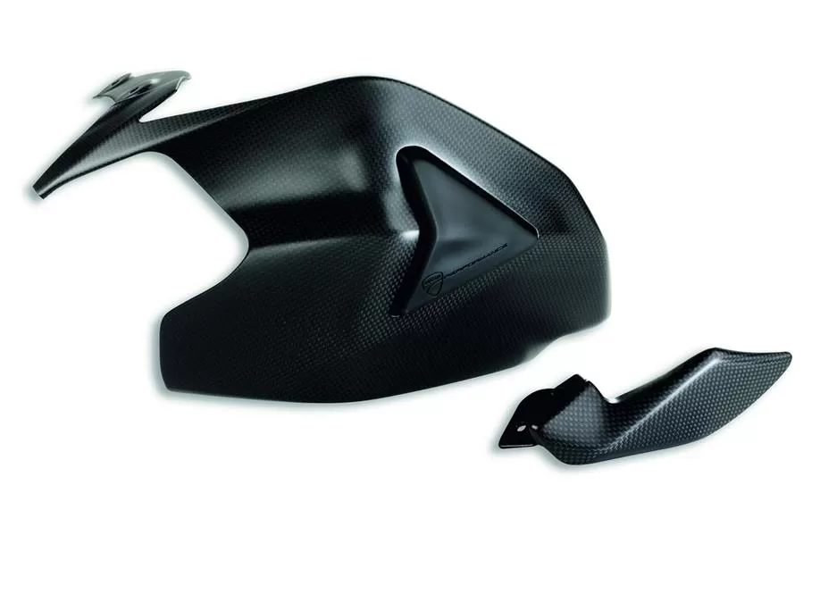 Carbon Swingarm Guard SBK