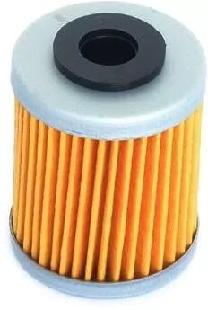 Athena Oil Filter FFC005