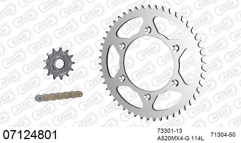 AFAM Chainset - Steel