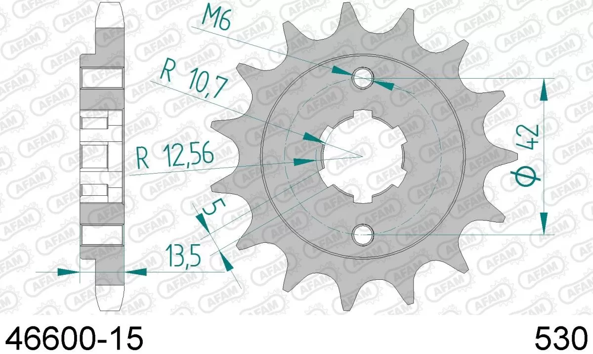 AFAM Sprocket Front 15T - 530