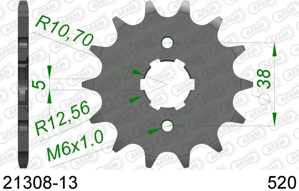 AFAM Sprocket Front 13T - 520