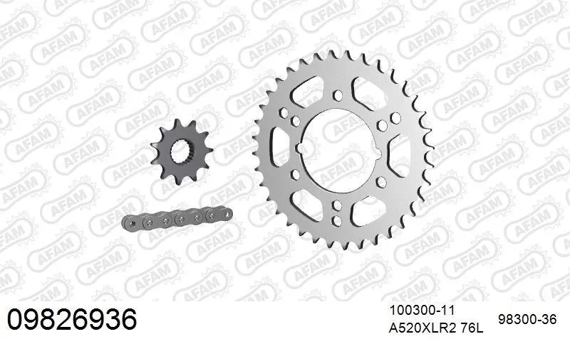AFAM Chainset - Steel