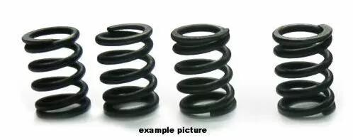Tourmax Clutch Springs Set HSP-105-4