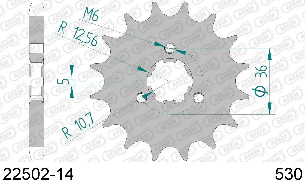 AFAM Sprocket Front 14T - 530