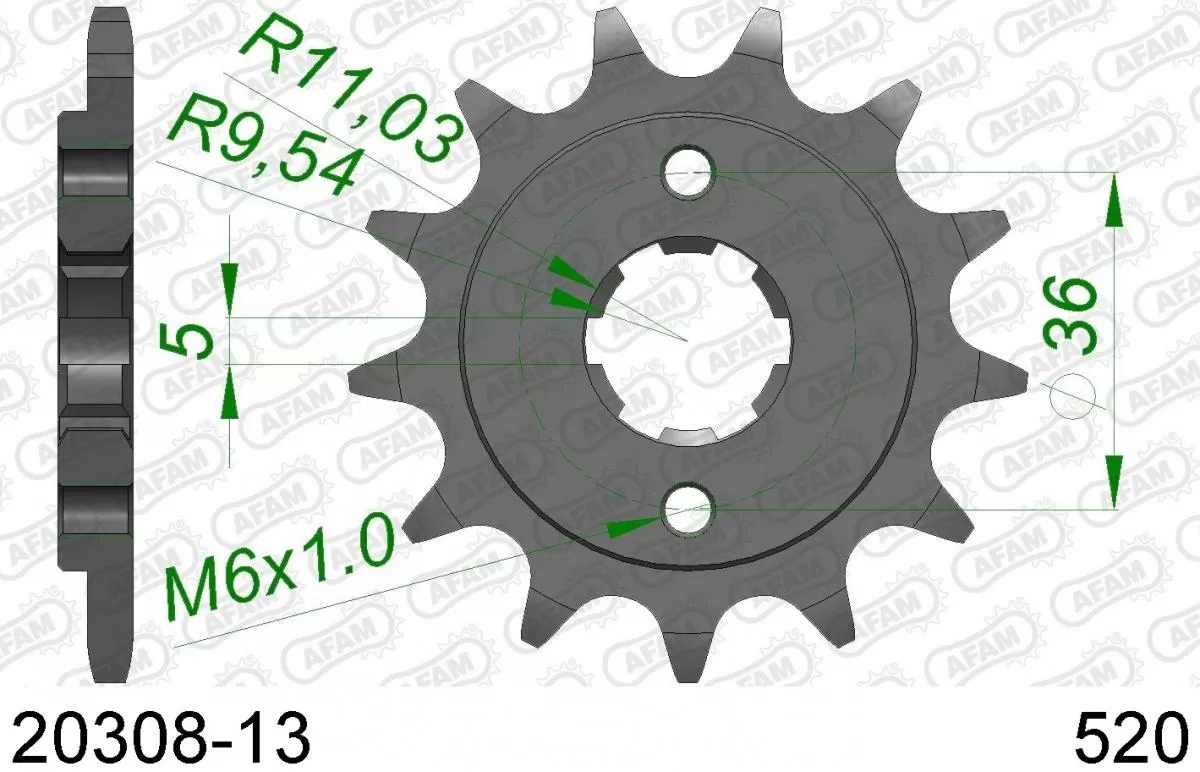 AFAM Sprocket Front 13T - 520