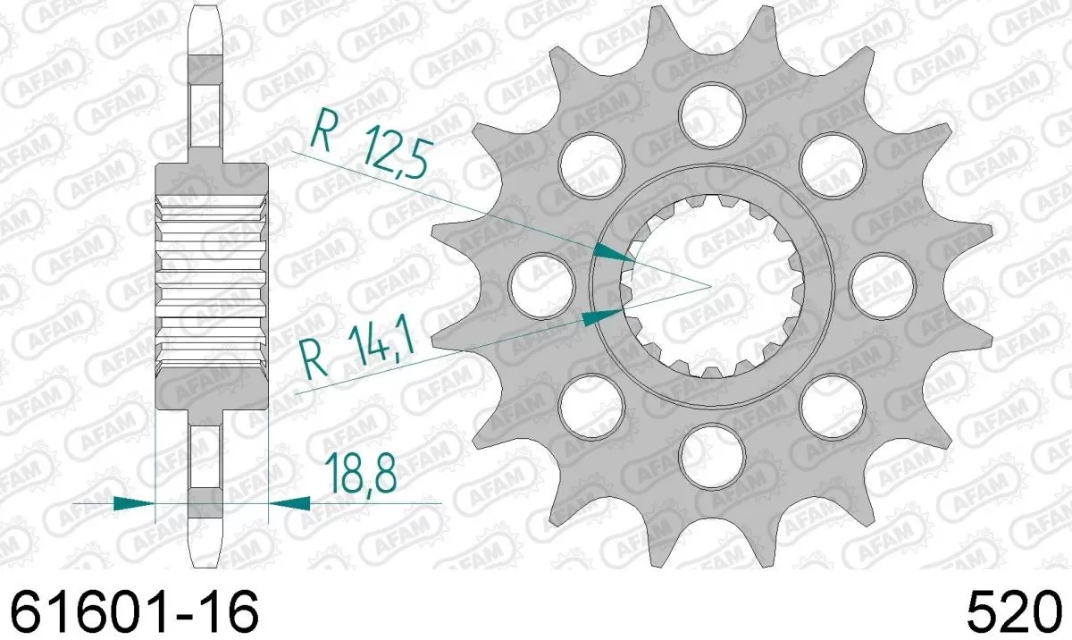 AFAM Sprocket Front 16T - 520