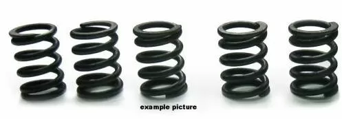 Tourmax Clutch Springs Set HSP-205-5