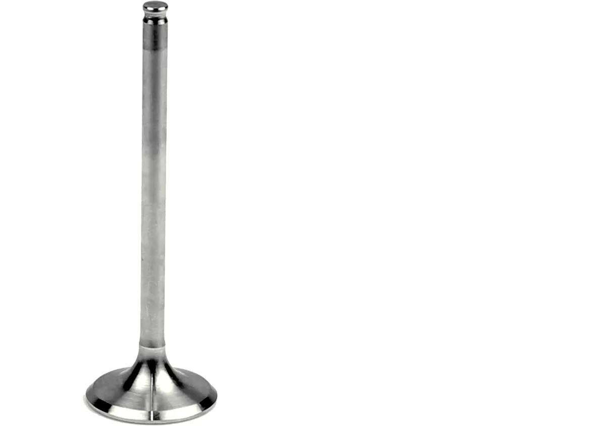 Athena Steel Exhaust Valve VE-210209S