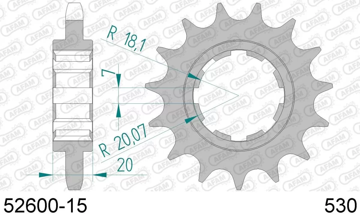 AFAM Sprocket Front 15T - 530