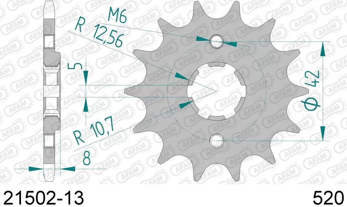 AFAM Sprocket Front 13T - 520