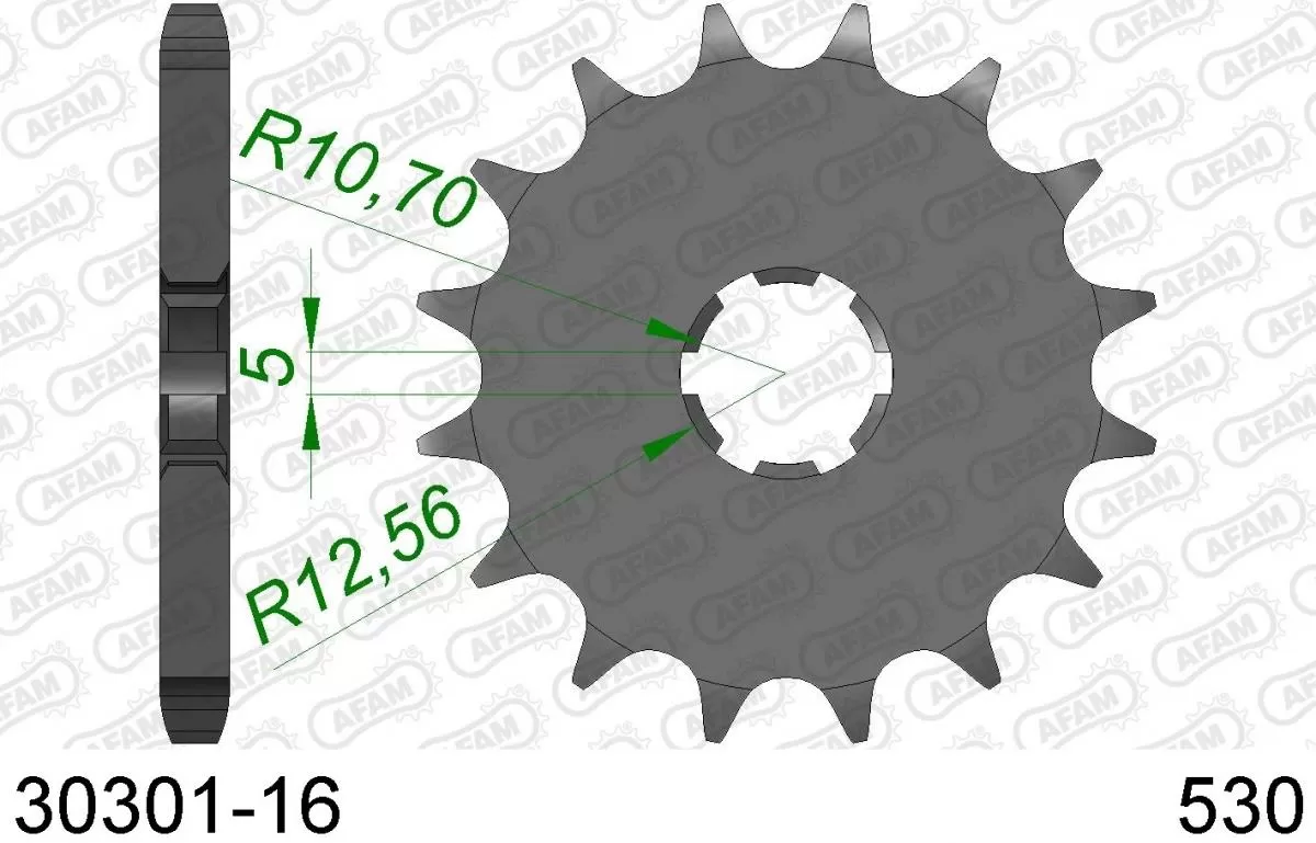 AFAM Sprocket Front 16T - 530