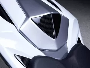 Suzuki Buddyseat Cover Decoration GSX-R 1000 (09-16)