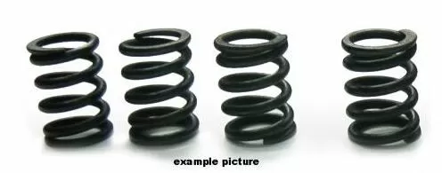 Tourmax Clutch Springs Set HSP-112-4