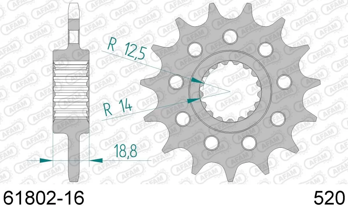 AFAM Sprocket Front 16T - 520